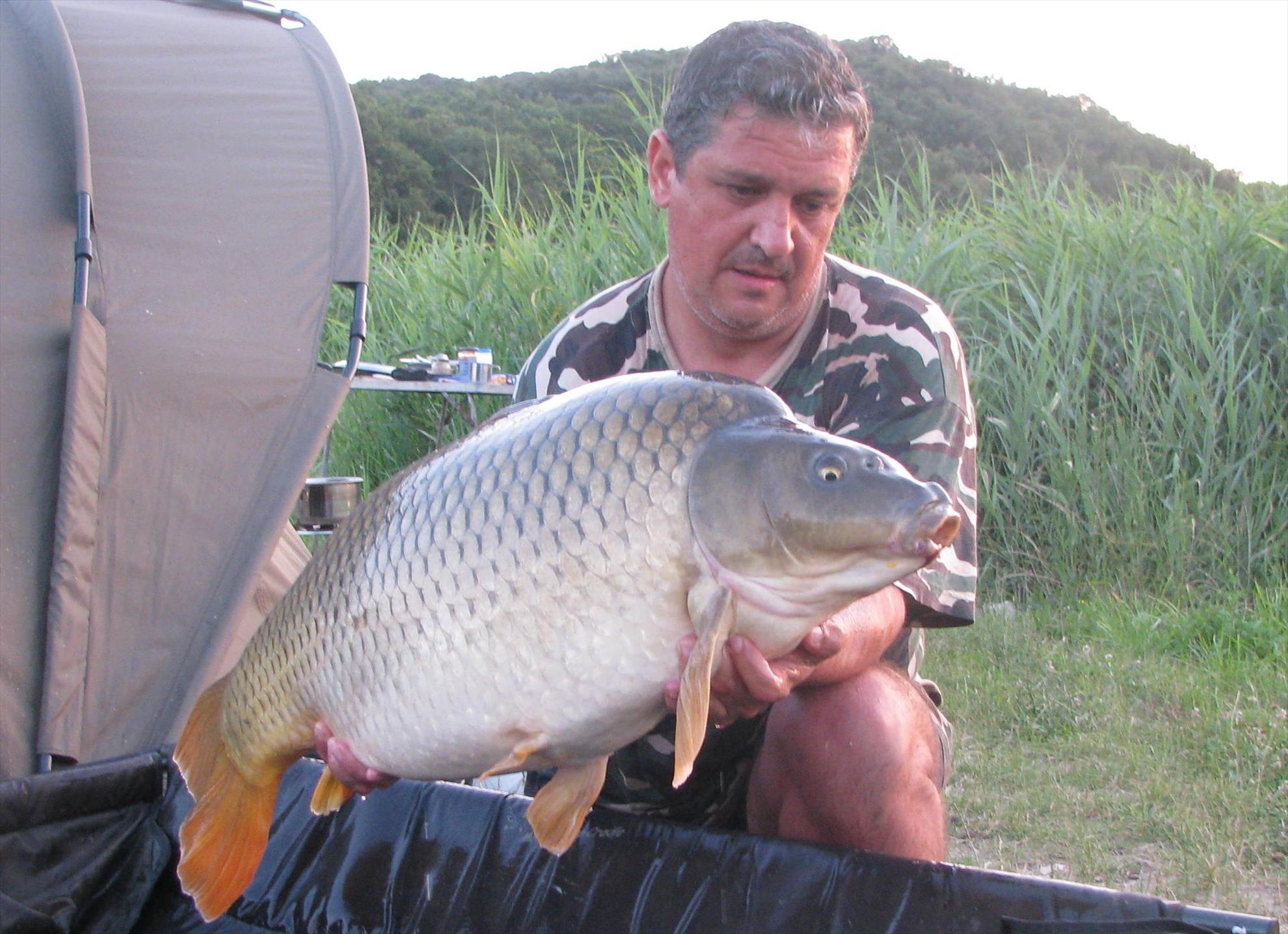 Harsany 21 - 27 iul. - img0146.JPG